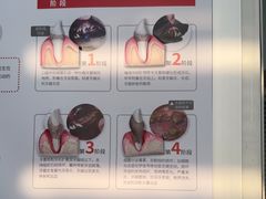 -心仪动物医院·牙专科·肿瘤·心脏科(西客站院)