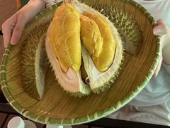 -榴莲BB 四季果园