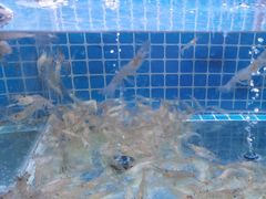 -山海蟹庐·海鲜糟粕醋火锅(慈溪店)