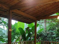 -生态园山庄(森林公园店)