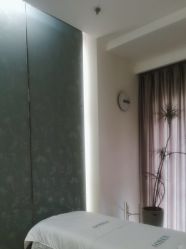 -奥本科技美肤·养生SPA