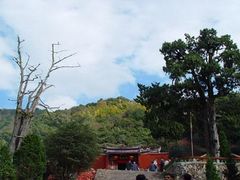 -灵光寺