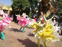 -七彩云南欢乐世界