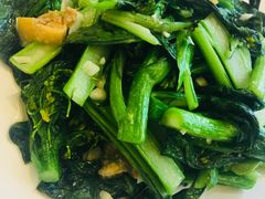 猪油渣菜心-美极鲜食坊(宝安南路店)