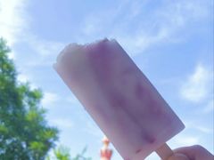 -秦岭欢乐世界