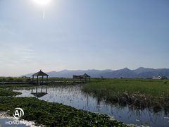 -哈素海