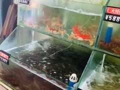 -蓝湾碧波·老字号·疍家非遗海上餐厅