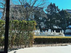 -菩提树下茶咖鼓捣