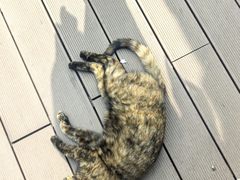 -EATALIA意塔利意式餐厅(鼓楼店)