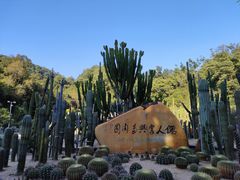 -深圳仙湖植物园