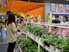 -KKV(东莞海德汇一城店)