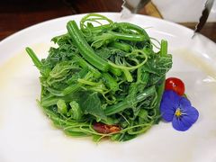 -那家小馆