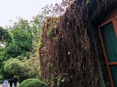 -趵突泉景区