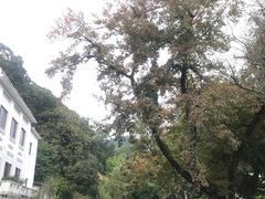 -广东温泉宾馆