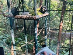 -广州长隆国际大马戏