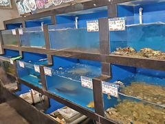 -华盛丰温州大排档(东三环南路店)