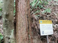 -遂昌金矿国家矿山公园