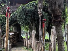 -云南民族村