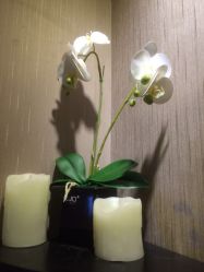 -悦己堂美容养生SPA