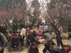 -秀丽东方
