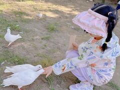 -南通洲际绿博园