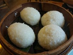 茨毛圆子-双塔老饭店