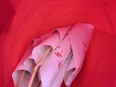 -糖葫芦王保定名吃(古莲花池店)