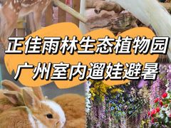 -正佳雨林生态植物园