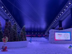 -世界之窗阿尔卑斯冰雪世界