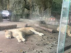 -南昌动物园