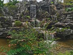 -东莞植物园