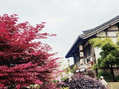 -茅山东方盐湖城景区