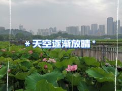 -月湖风景区