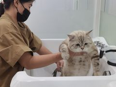 -爱洗澡的猫(天河路店)