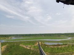 -上海海湾国家森林公园