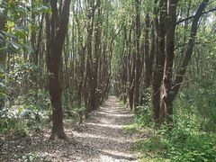 -同里国家湿地公园