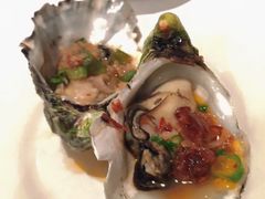 -食为先(Shark Fin)