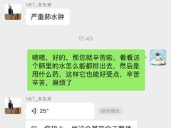 -北京观赏动物医院·24小时大型综合·猫专科·异宠专科