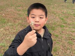 -天津武清北运河郊野公园房车露营地