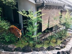 -料亭菊水楼