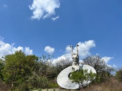 -沈阳植物园