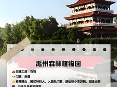 -禹州森林植物园