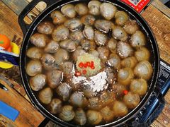 特大紫边贝-拾下卜卜贝•海鲜火锅