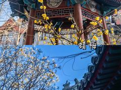 -月坛公园