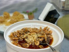 -丁老爷子苏香圆