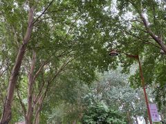 -长春公园(普阳街道)