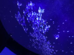 -芜湖方特东方神画