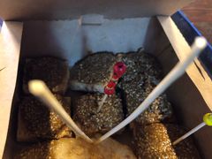 -奶奶的美食(悦立方店)