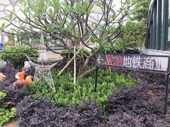 -宝龙广场(福州台江店)