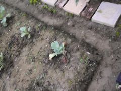 -洪湖家庭农场·团建·露营·会议